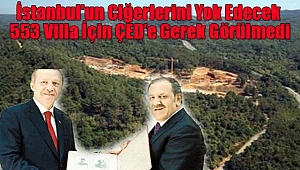 İstanbul'un Ciğerlerini Yok Edecek 553 Villa İçin ÇED’e Gerek Görülmedi