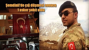 Şemdinli'de Çığ Düşmesi Sonucu 1 Asker Şehit Oldu
