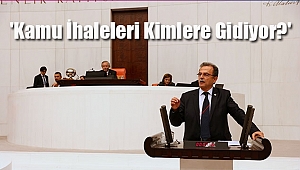 CHP'li Girgin, 'Kamu İhaleleri Kimlere Gidiyor?'