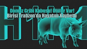 Domuz Gribi Kabusu! Ölüler Var!