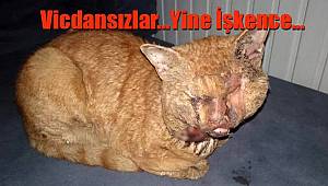 Naylonu Eritip Gözüne Damlattılar