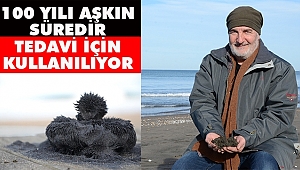 Bioenerjiyi Düzenleyen Mucizevi Kum
