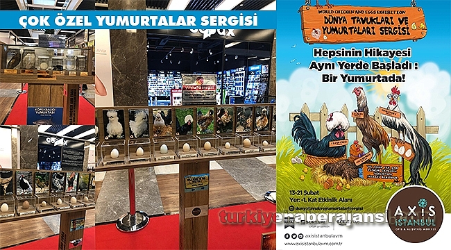 Dünyanın En Özel Yumurtaları İstanbullularla Buluşuyor