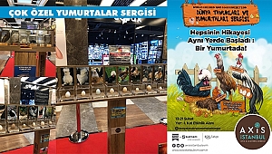 Dünyanın En Özel Yumurtaları İstanbullularla Buluşuyor