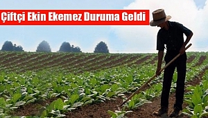Sorun Tezgahta Değil Tarlada...