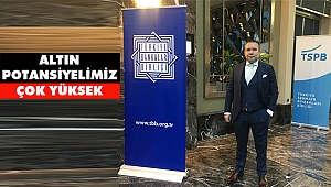 Niziplioğlu: 'Altın Potansiyelimiz Çok Yüksek'