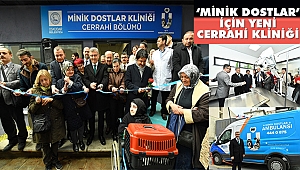 Üsküdar Belediyesi'nden 'Minik Dostlar' İçin Yeni Cerrahi Kliniği 