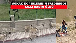 Sokak Köpeklerinin Saldırdığı Yaşlı Kadın Öldü