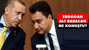 Erdoğan-Ali Babacan Görüşmesinin Detayları Ortaya Çıktı