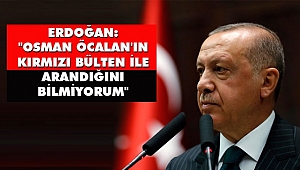 Erdoğan'dan Referandum Yanıtı ve Osman Öcalan Açıklaması