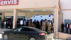 Iğdır'dan Acı Haber: 3 Asker Şehit