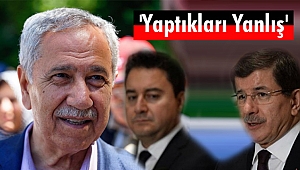Bülent Arınç, 'Yaptıkları Yanlış'