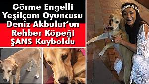Görme Engelli Oyuncu Deniz Akbulut’un Rehber Köpeği Kayboldu