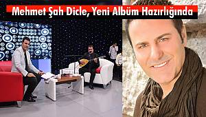 Mehmet Şah Dicle, Yeni Albüm Hazırlığında