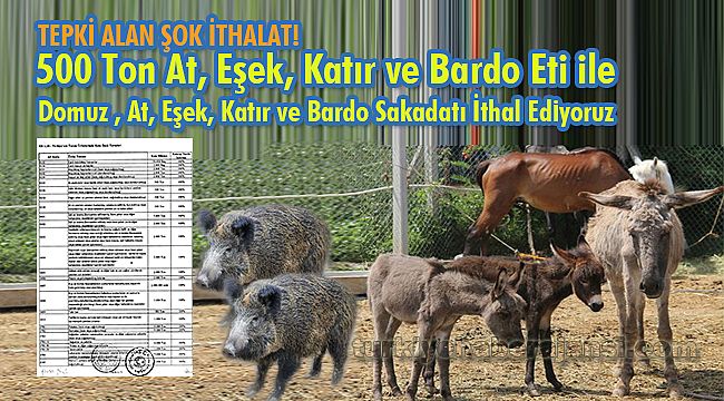 500 Ton At, Eşek, Katır ve Bardo Eti ile Domuz Sakadatı İthal Ediyoruz
