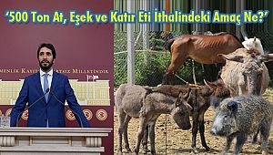 '500 Ton At, Eşek ve Katır Eti İthalindeki Amaç Ne?'