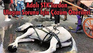 Adalı STK’lardan Ulaşım Sorunu İçin Çözüm Önerileri