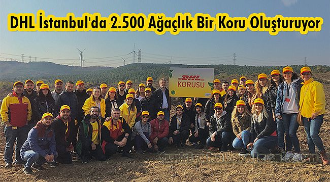 DHL İstanbul'da 2.500 Ağaçlık Bir Koru Oluşturuyor