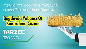Buğdayda Yabancı Ot Kontrolüne Çözüm: TARZECTM 320 WG