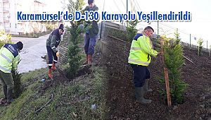 Karamürsel’de D-130 Karayolu Yeşillendirildi