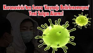 Koronavirüs'ten Sonra 'Kaynağı Belirlenemeyen' Yeni Salgın Alarmı!