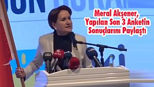 Meral Akşener, Yapılan Son 3 Anketin Sonuçlarını Paylaştı