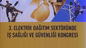 Elektrik Dağıtım Sektöründe Hedef; Sıfır Ölümlü İş Kazası
