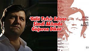 ‘Gülü Tefsir Ediyor Şimdi Aklımda Göğeren Diken’ 