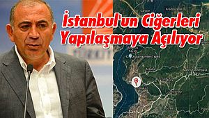 İstanbul'un Ciğerleri Yapılaşmaya Açılıyor