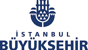 İstanbullular en çok ulaşım için şikayetçi oldu