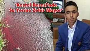 Kestel Deresi'nde Su Yerine Zehir Akıyor