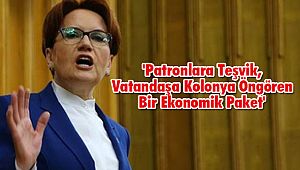 'Patronlara Teşvik, Vatandaşa Kolonya Öngören Bir Ekonomik Paket'