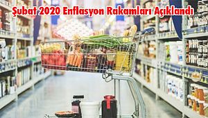 Şubat 2020 Enflasyon Rakamları Açıklandı