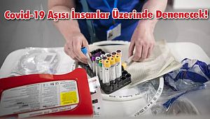 Covid-19 Aşısı İnsanlar Üzerinde Denenecek!