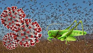 Kıtlık tehlikesine karşı önlem alındı mı?