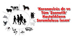 'Koronavirüs de ve Tüm 'Zoonotik' Hastalıkların Sorumlulusu İnsan' 