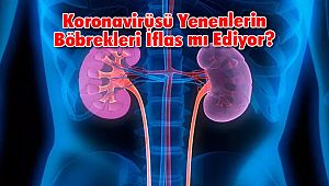 Koronavirüsü Yenenlerin Böbrekleri İflas mı Ediyor?