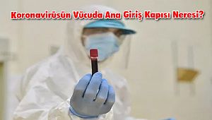 Koronavirüsün Vücuda Ana Giriş Kapısı Neresi? 