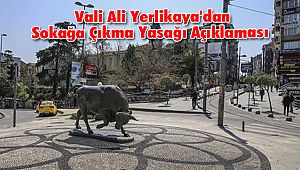  Vali Ali Yerlikaya'dan Sokağa Çıkma Yasağı Açıklaması