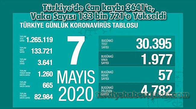 Türkiye'de Can kaybı 3641'e, Vaka Sayısı 133 bin 721'e Yükseldi