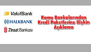 Kamu Bankalarından Kredi Paketlerine İlişkin Açıklama
