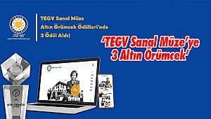 ‘TEGV Sanal Müze’ye Altın Örümcek’