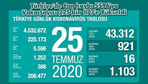 Türkiye'de Can kaybı 5596'ya Vaka Sayısı 225 bin 173'e Yükseldi
