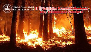 81 İl Valiliğine Ormanlık Alanlarda Ateş Yakılmaması Genelgesi