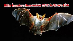 Bilim İnsanları: Koronavirüs 2012’de Ortaya Çıktı