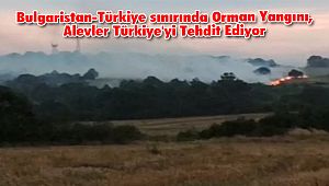 Bulgaristan-Türkiye sınırında Orman Yangını, Alevler Türkiye'yi Tehdit Ediyor
