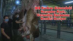 İBB Kurban Alanındaki Kasaplar Kaçtı, Vatandaş Kurbanını Kendisi Kesti