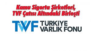 Kamu Sigorta Şirketleri, TVF Çatısı Altındaki Birleşti