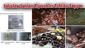 Sokakta Satılan Yiyecekler Tehlike Saçıyor