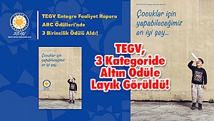 TEGV, 3 Kategoride Altın Ödüle Layık Görüldü!